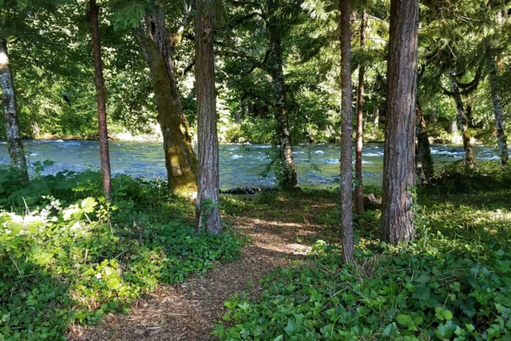 Wooded Bliss Riverfront Sanctuary On The Mckenzie Villa McKenzie Bridge Buitenkant foto