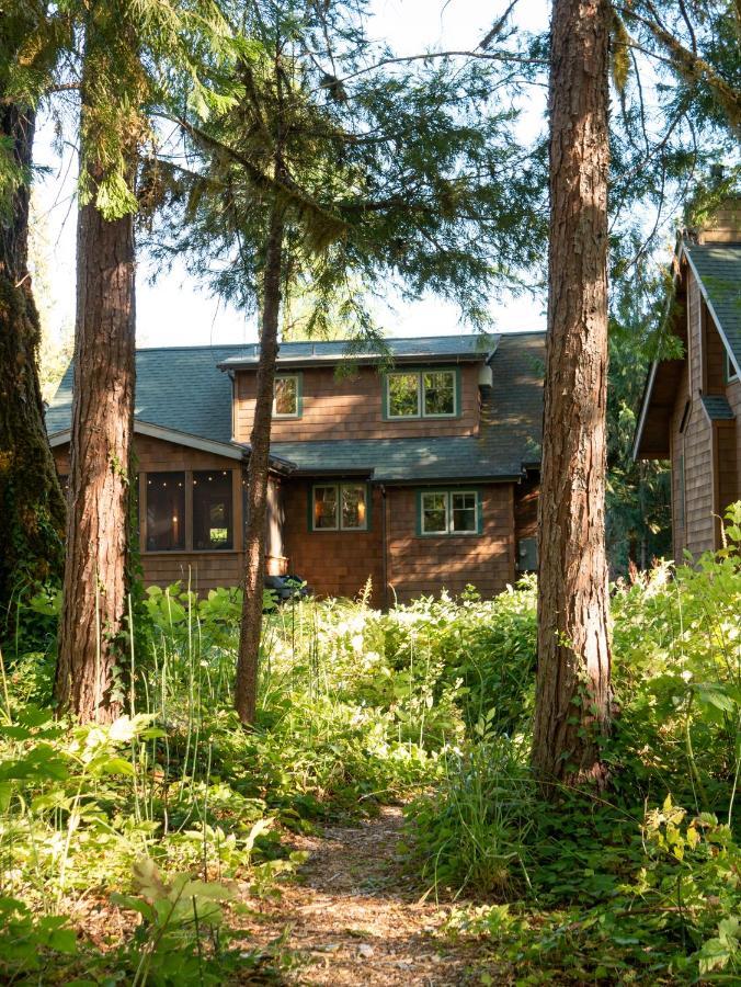 Wooded Bliss Riverfront Sanctuary On The Mckenzie Villa McKenzie Bridge Buitenkant foto